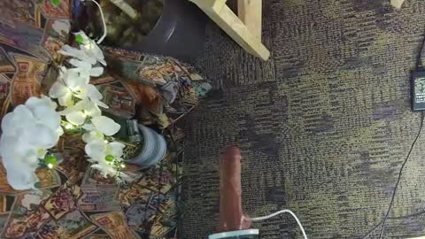 sassylatin45 online show from 03-02-25, 01:47