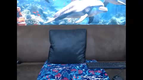 Snapshot of sasyylissaa chatting on 03-03-25, 07:39 sasyylissaa online show from 03-03-25, 07:39