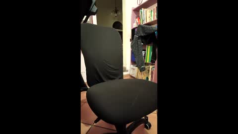 sbrinaiceberg online show from 05-25-26, 04:18