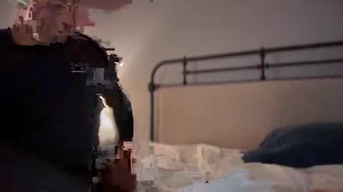 Snapshot of sbsdbfs chatting on 11-18-25, 07:07 sbsdbfs online show from 11-18-25, 07:07