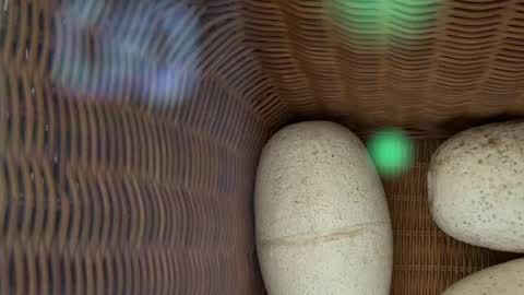 scarlajade online show from 05-15-26, 02:51