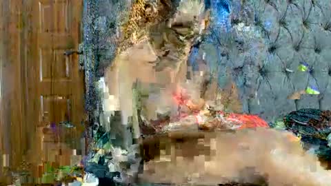 Snapshot of scarlet_seductress chatting on 03-02-26, 11:22 scarlet seductress online show from 03-02-26, 11:22