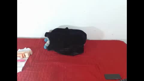 Snapshot of scarletfox__03 chatting on 02-12-26, 07:31 Scarletfox Fox online show from 02-12-26, 07:31