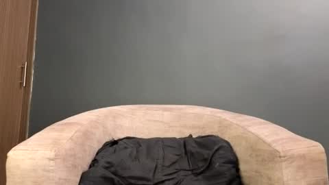 scarlett_is_here online show from 04-19-26, 01:38