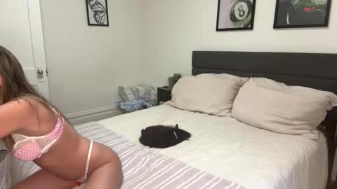 Snapshot of scarletterose_504259 chatting on 02-25-26, 09:46 Scarlett online show from 02-25-26, 09:46