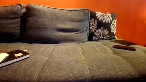 schmuhbaer1 online show from 12-14-25, 07:58