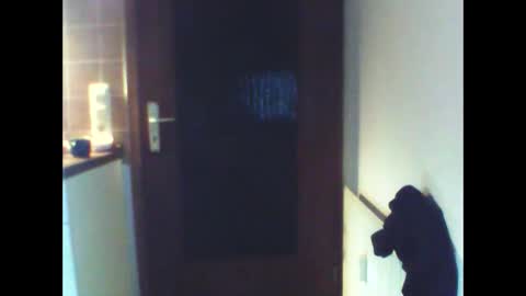 schnibschnab online show from 02-27-26, 02:11