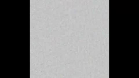 Scolw  online show from 12-15-25, 11:47