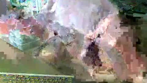 scotthard online show from 03-14-26, 06:57