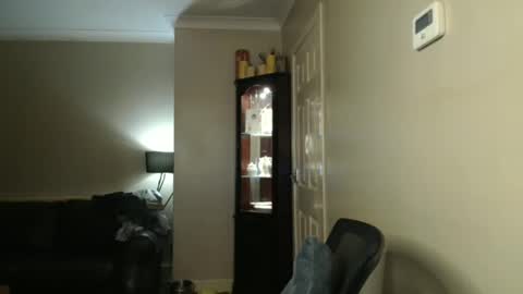 Snapshot of scottsman214 chatting on 01-19-25, 12:49 James online show from 01-19-25, 12:49