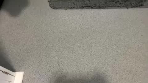 scottyc48 online show from 10-05-25, 02:04