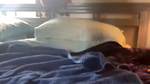 Snapshot of seaboy78 chatting on 12-15-24, 06:26 Skylar87 online show from 12-15-24, 06:26