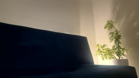 Sean pablo Sanz online show from 04-02-26, 10:40