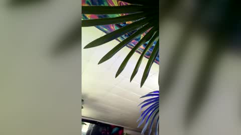 Snapshot of seanplushouse chatting on 02-28-26, 07:48 seanplushouse online show from 02-28-26, 07:48