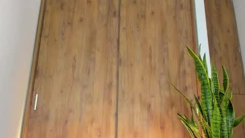 sebastian online show from 02-03-26, 01:26