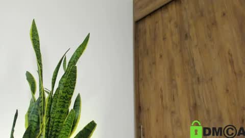 sebastian online show from 04-21-26, 02:51