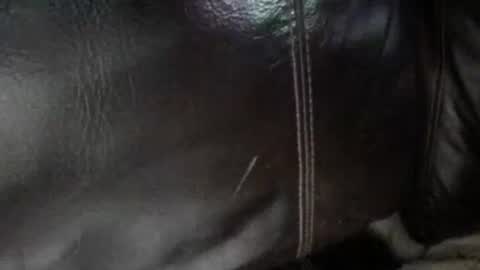 Sunny online show from 01-13-26, 06:40