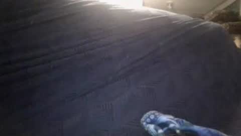 Sunny online show from 02-24-26, 03:37