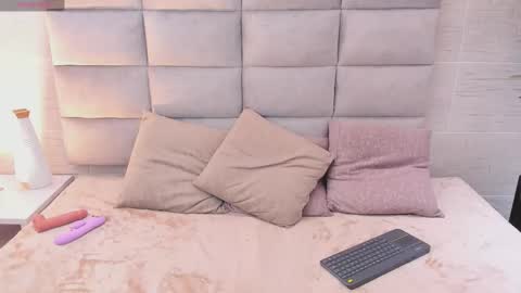 Snapshot of seikibee chatting on 02-19-26, 03:46 seikibee online show from 02-19-26, 03:46