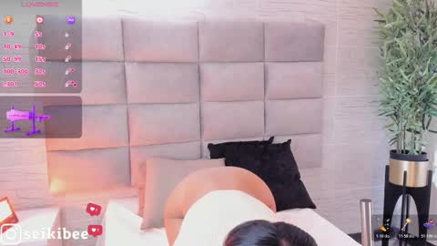 Snapshot of seikibee chatting on 02-21-26, 04:24 seikibee online show from 02-21-26, 04:24