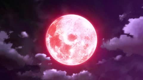 Selene G  online show from 04-08-26, 03:17