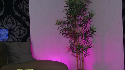 SelenaDream online show from 05-13-26, 02:25