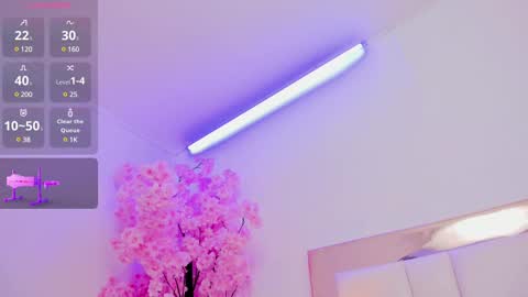 Sennia online show from 02-15-25, 05:28