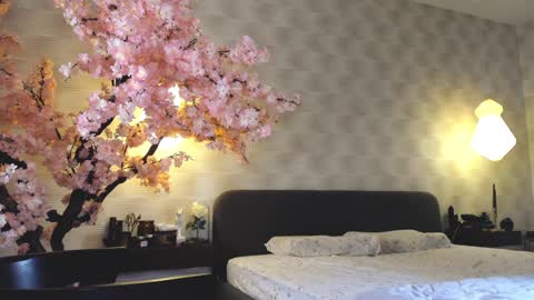 Gia online show from 12-28-24, 07:22