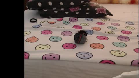 Snapshot of sera_booty chatting on 10-25-25, 05:04 Anne online show from 10-25-25, 05:04