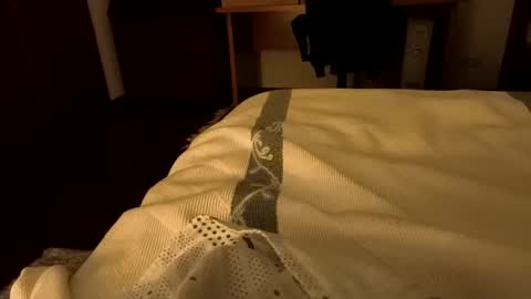 sevenorder online show from 01-20-25, 05:04