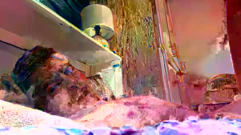 Snapshot of sexdisruptor chatting on 01-04-25, 03:07 sexdisruptor online show from 01-04-25, 03:07