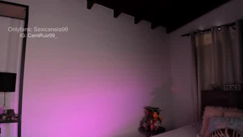 ... Camila ... online show from 12-30-24, 04:40