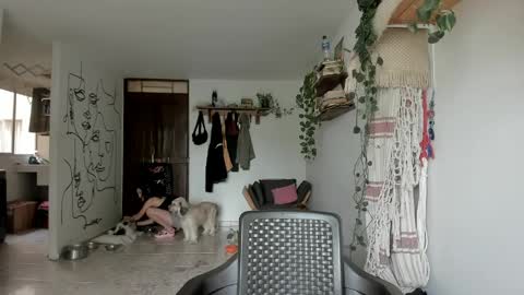         online show from 03-17-26, 02:53