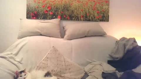 Snapshot of sexurbation chatting on 12-10-24, 03:01 Sexurbation online show from 12-10-24, 03:01