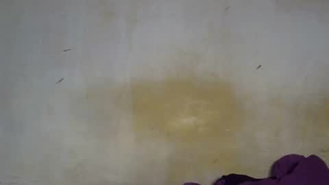 Snapshot of sexy_candy9 chatting on 12-04-25, 10:57 sexy_candy9 online show from 12-04-25, 10:57