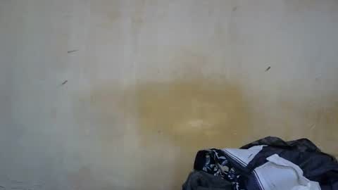 Snapshot of sexy_candy9 chatting on 12-05-25, 10:46 sexy_candy9 online show from 12-05-25, 10:46