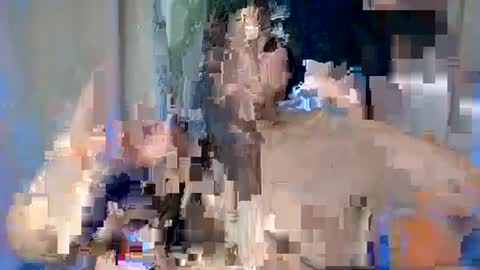 Snapshot of sexy_devotion chatting on 02-17-25, 07:47 ALFREA online show from 02-17-25, 07:47