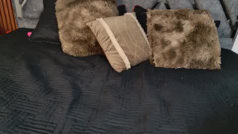 Dafne online show from 04-06-26, 10:49