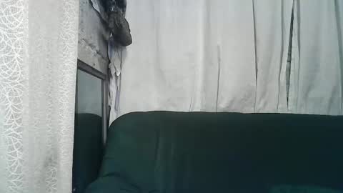 sexy_zapphire2024 online show from 12-05-24, 08:55