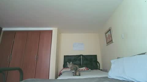 Alice Skay online show from 07-27-26, 02:24