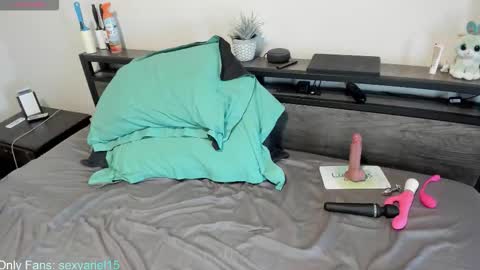 SexyAriel15 online show from 10-22-25, 04:51