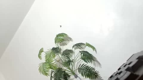 sexyhotbabe18 online show from 03-07-26, 09:56