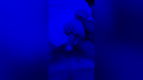 sh591012 online show from 07-30-26, 06:45