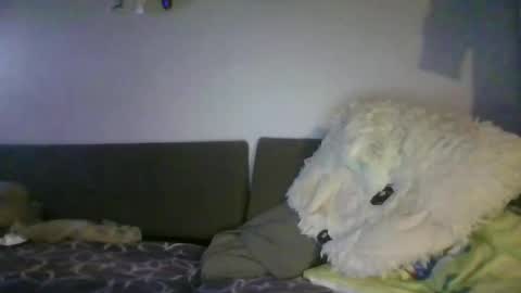 Snapshot of shafte1981 chatting on 06-02-26, 10:01 shafte1981 online show from 06-02-26, 10:01