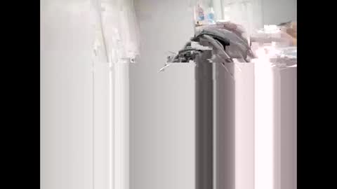 Snapshot of shagnasty95 chatting on 04-09-26, 01:27 shagnasty95 online show from 04-09-26, 01:27