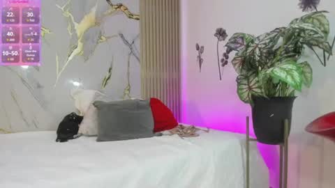 shalomexotic online show from 07-01-26, 12:18