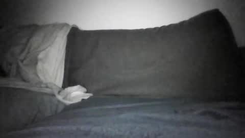 Snapshot of shamefullyshort chatting on 12-17-25, 06:14 Shorty online show from 12-17-25, 06:14