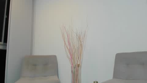 onlyfans shanabellucy online show from 02-01-25, 11:37