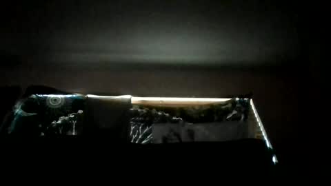 shawty_hung420 online show from 06-18-26, 01:06