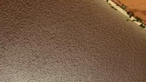 shaytin0 online show from 12-20-25, 04:47